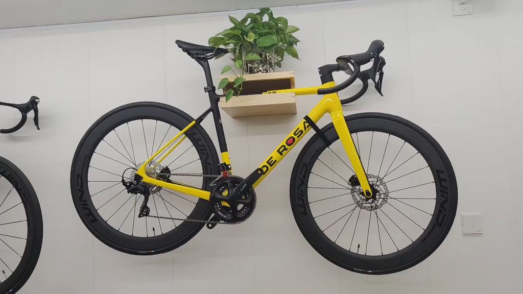 de rosa 838碳纤维公路车