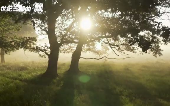 【世界史三部曲 飘乱世佳人】 第65集哔哩哔哩bilibili