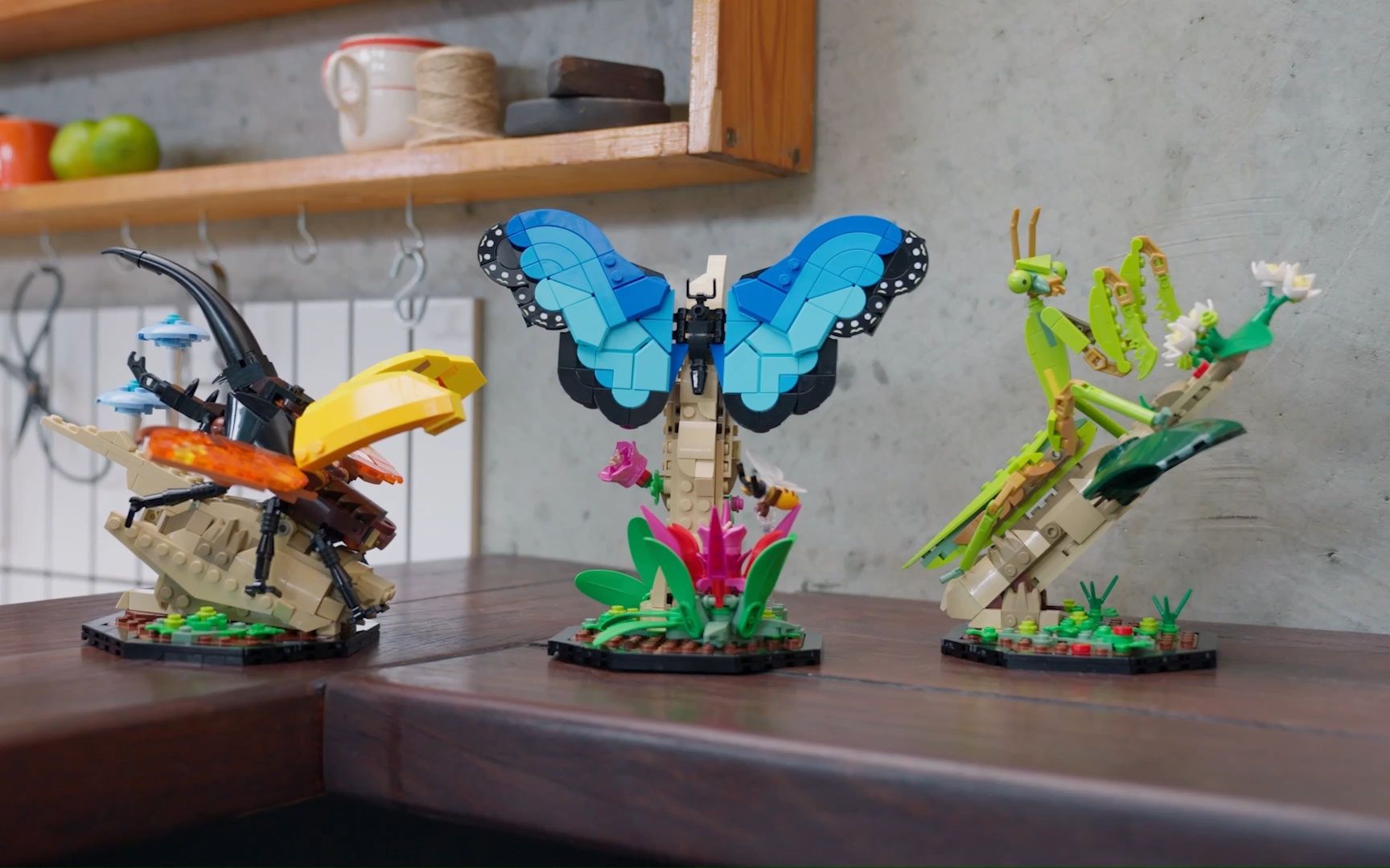 【木头鸭子】乐高ideas 21342 昆虫系列 官方介绍视频