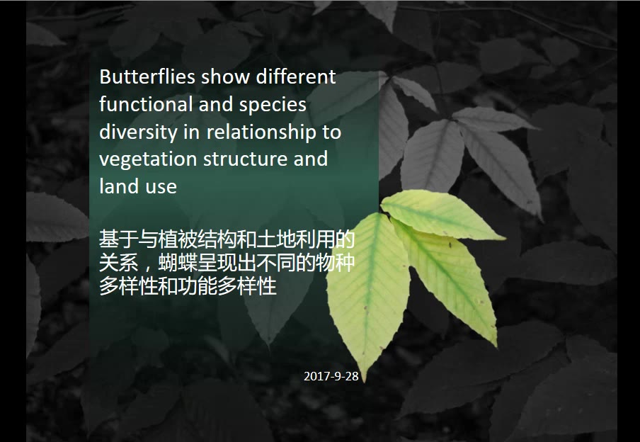 【樟公子讲文献】1荷兰蝴蝶的物种多样性与功能多样性哔哩哔哩bilibili