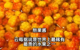 Download Video: 芬兰留学日常，北欧致富之路探索之摘浆果，采蘑菇。每到这个季节，芬兰各个城市都有收浆果和蘑菇的供应商，勤快一点可以挣两三个月生活费