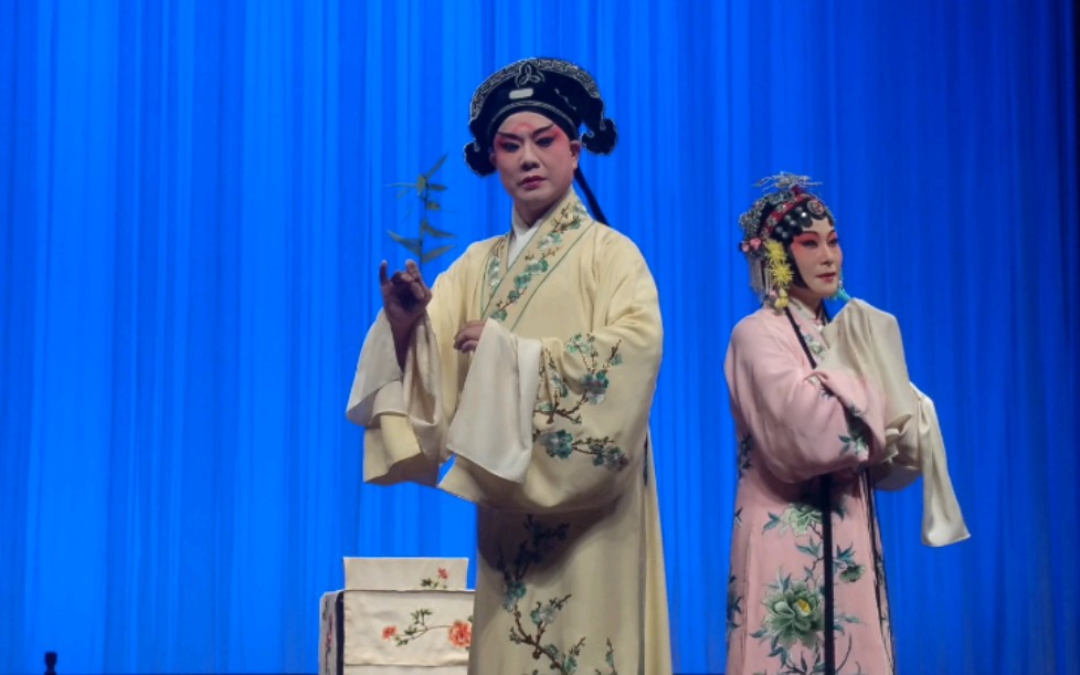 牡丹亭惊梦山桃红孔爱萍钱振荣