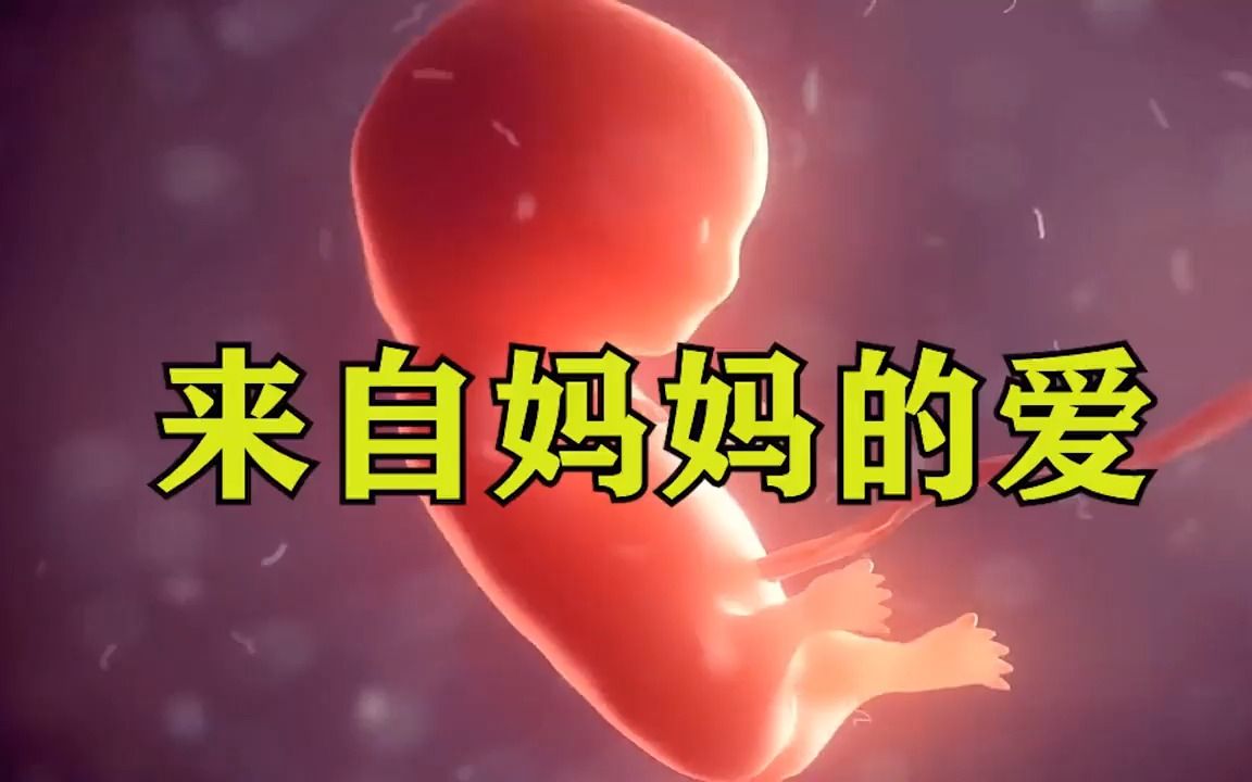 [图]妈妈孕育我们十分不易，看完我才知道原来每个胎儿都想为自己而活