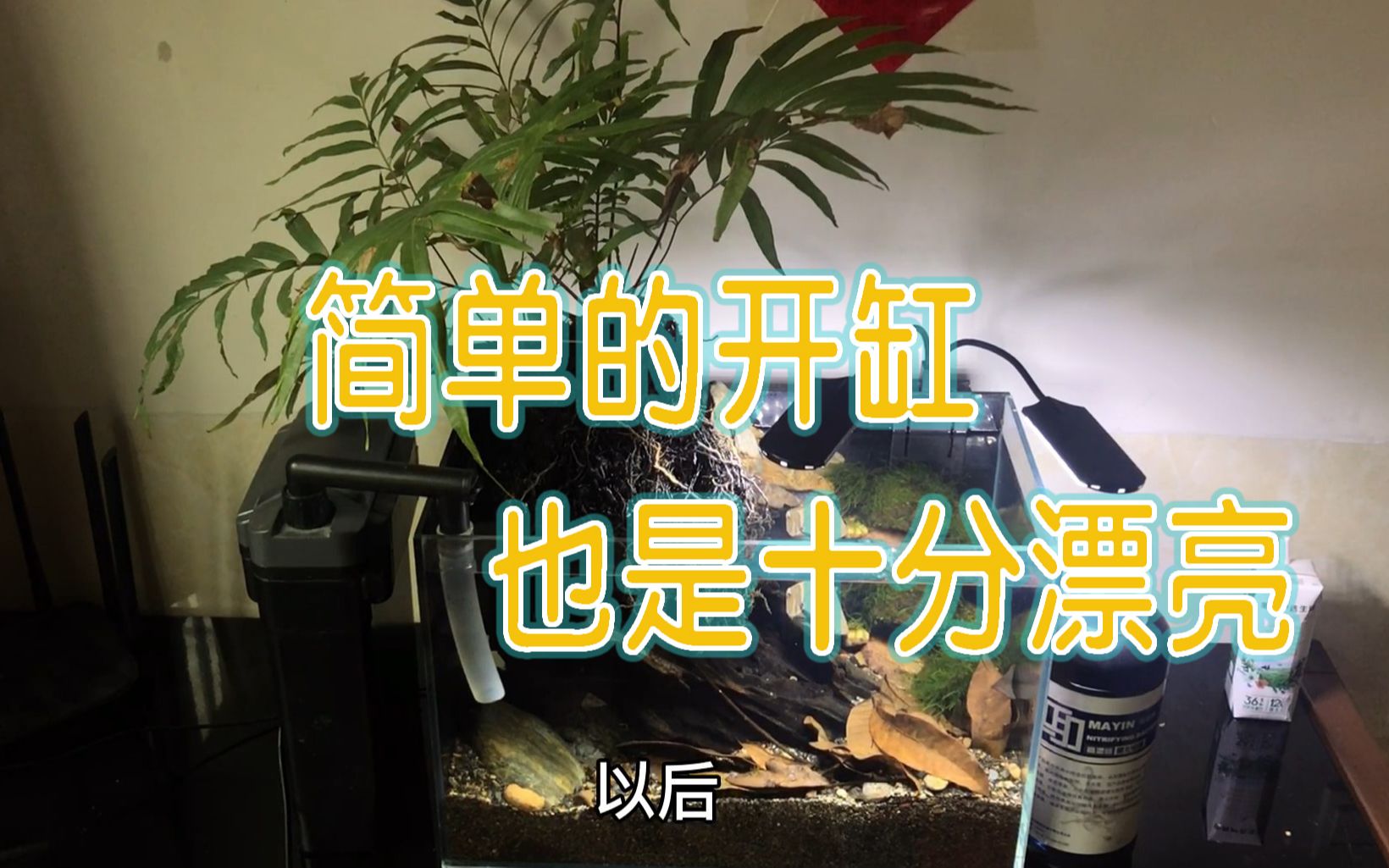 在家里的一个角落,用上一些简单素材,做个鱼缸,马上感觉高大上哔哩哔哩bilibili