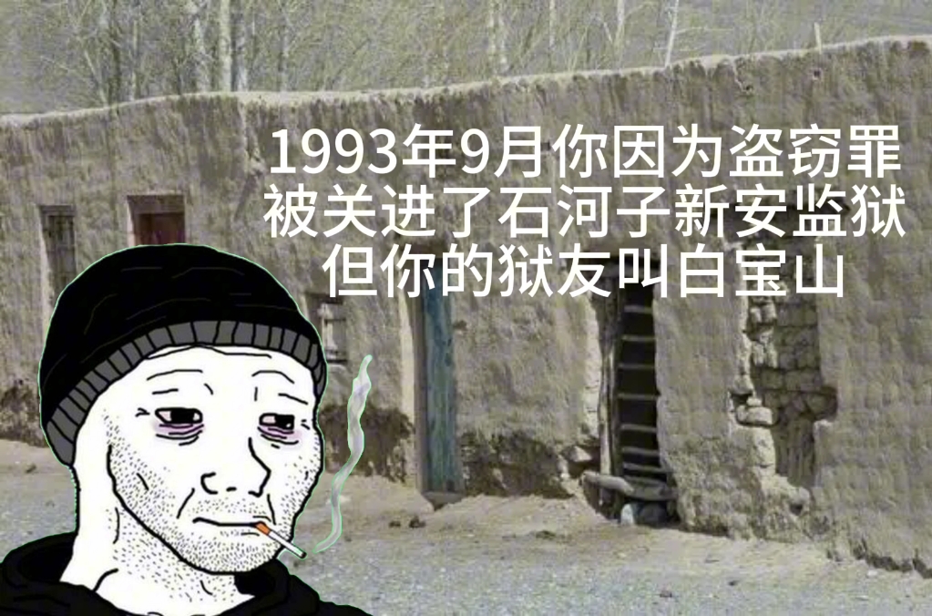 1993年你因为盗窃罪被关进石河子新安监狱,但你的狱友叫白宝山哔哩哔哩bilibili