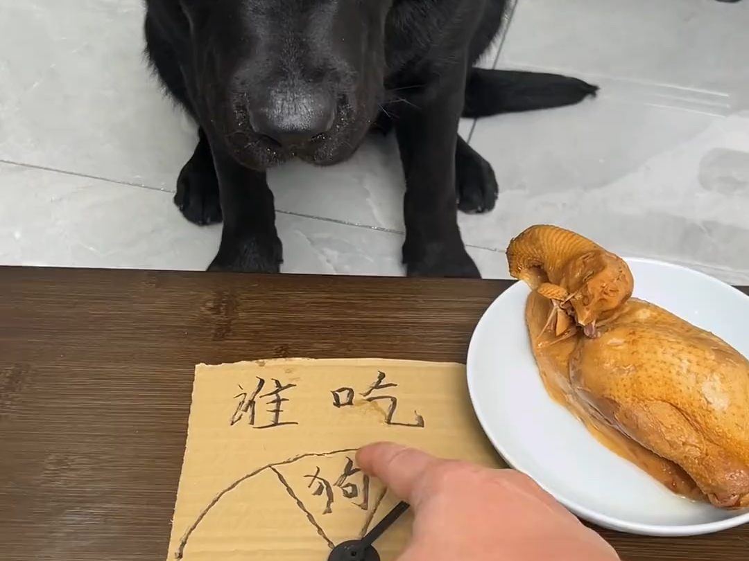 狗：不是，你连狗都骗呀