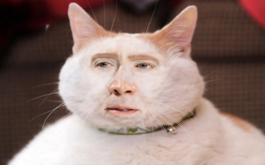 沙雕memes集锦#16