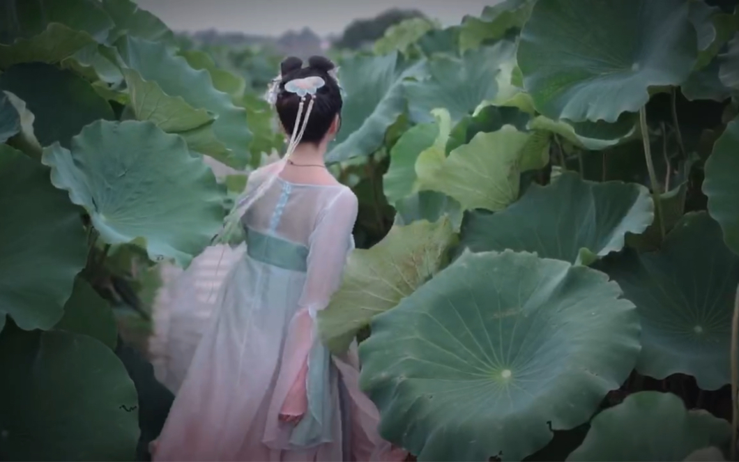 【水玉暖炽】夏日荷花 张真源应援色水玉暖炽可太好看了吧!