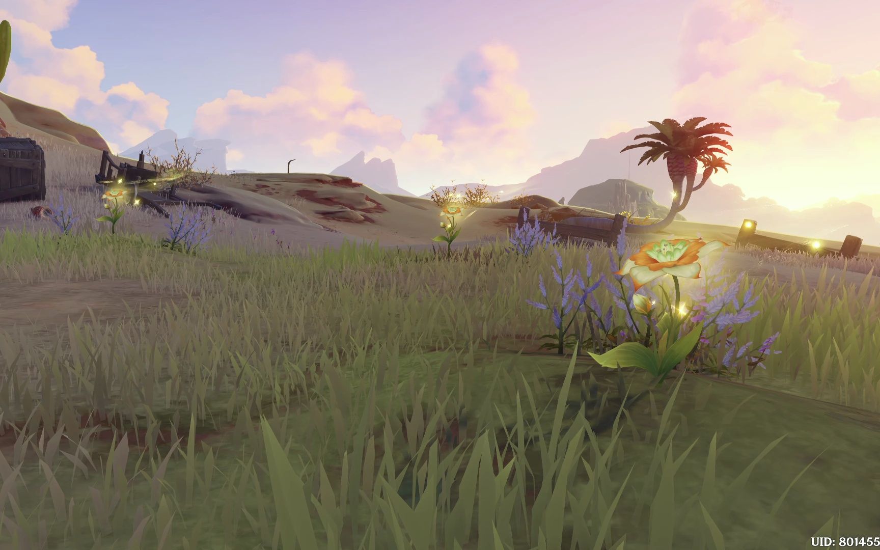 原神4k动画(蛍版日配)—黄金蔷薇盛开!