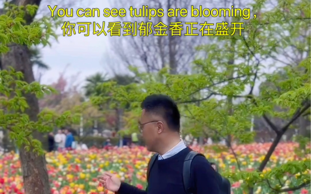 漫步大宁郁金香公园,Stroll around the tulips garden in Shanghai#大宁郁金香公园#郁金香#踏春#赏花#春天哔哩哔哩bilibili