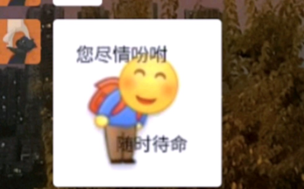 您尽情吩咐._哔哩哔哩_bilibili