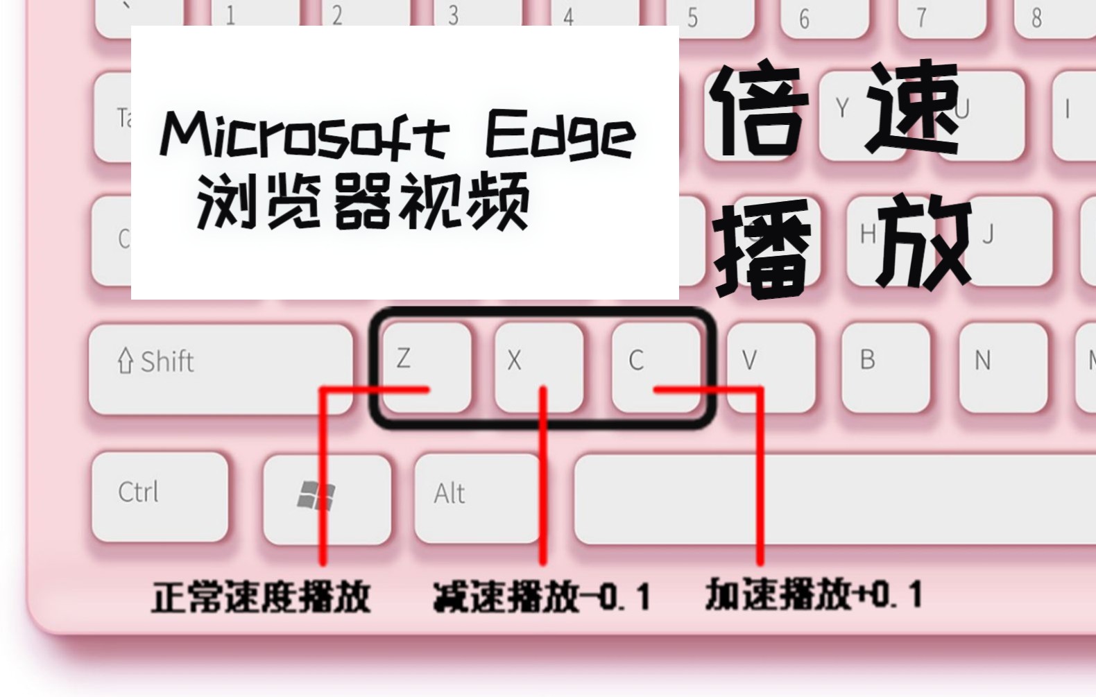 Microsoft Edge浏览器倍速播放视频最大16倍速哔哩哔哩bilibili