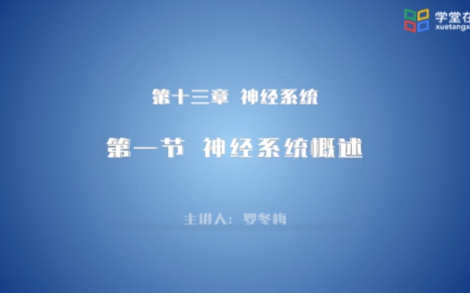 运动解剖学神经系统神经系统概述哔哩哔哩bilibili