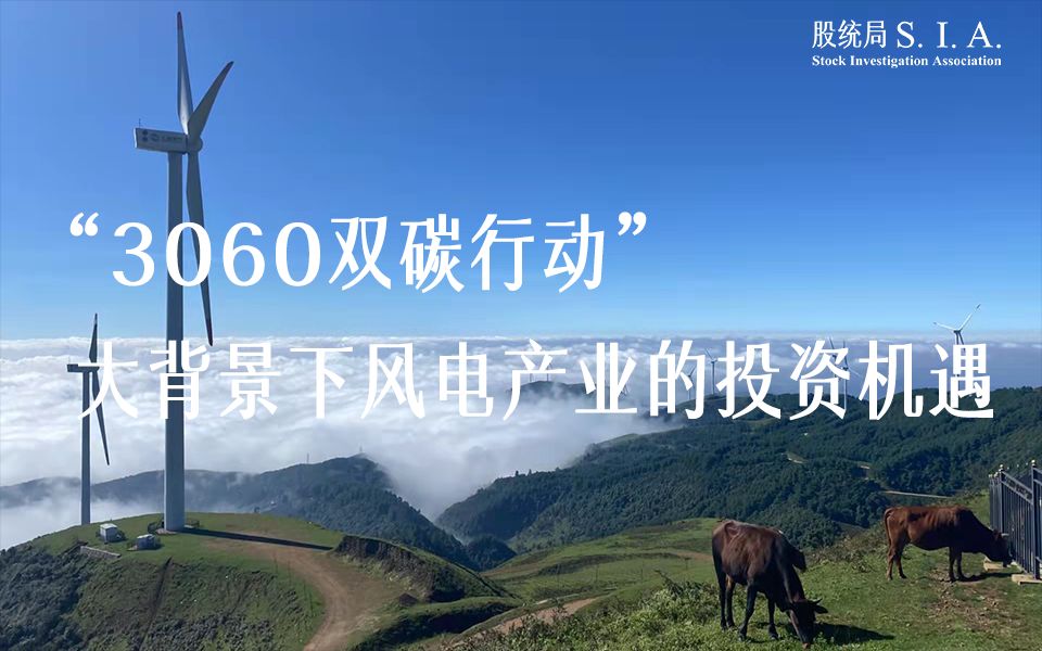 "3060双碳行动"大背景下风电产业的投资机遇