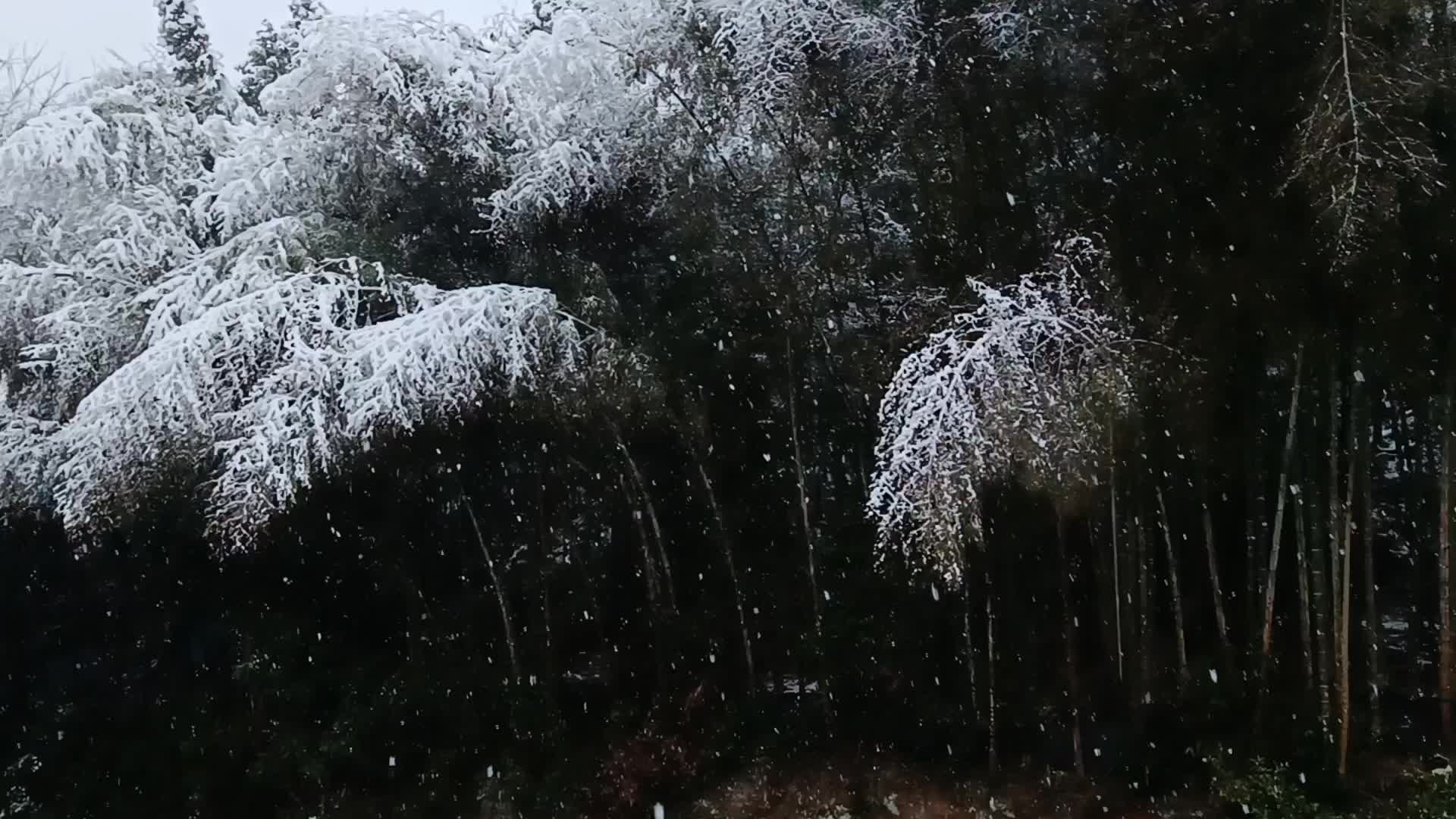 [图]福建的雪你见过吗？