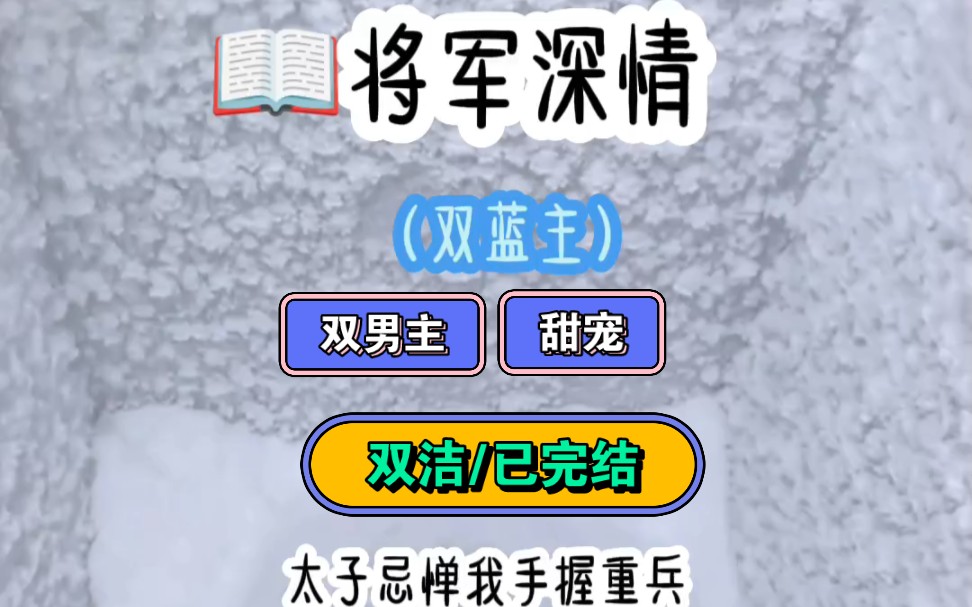 铭(将军深情)【双男主+双强+甜宠+重生+双洁1V1】(又疯又撩,美人将军受X深情直球重生报恩皇子攻)哔哩哔哩bilibili