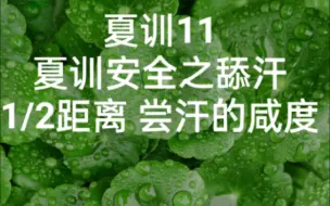 Download Video: 夏训11，夏训安全之舔汗，日常训练跑到约1/2距离时舔一下额头的汗，尝一下咸度，可预估接下来的无补给训练距离