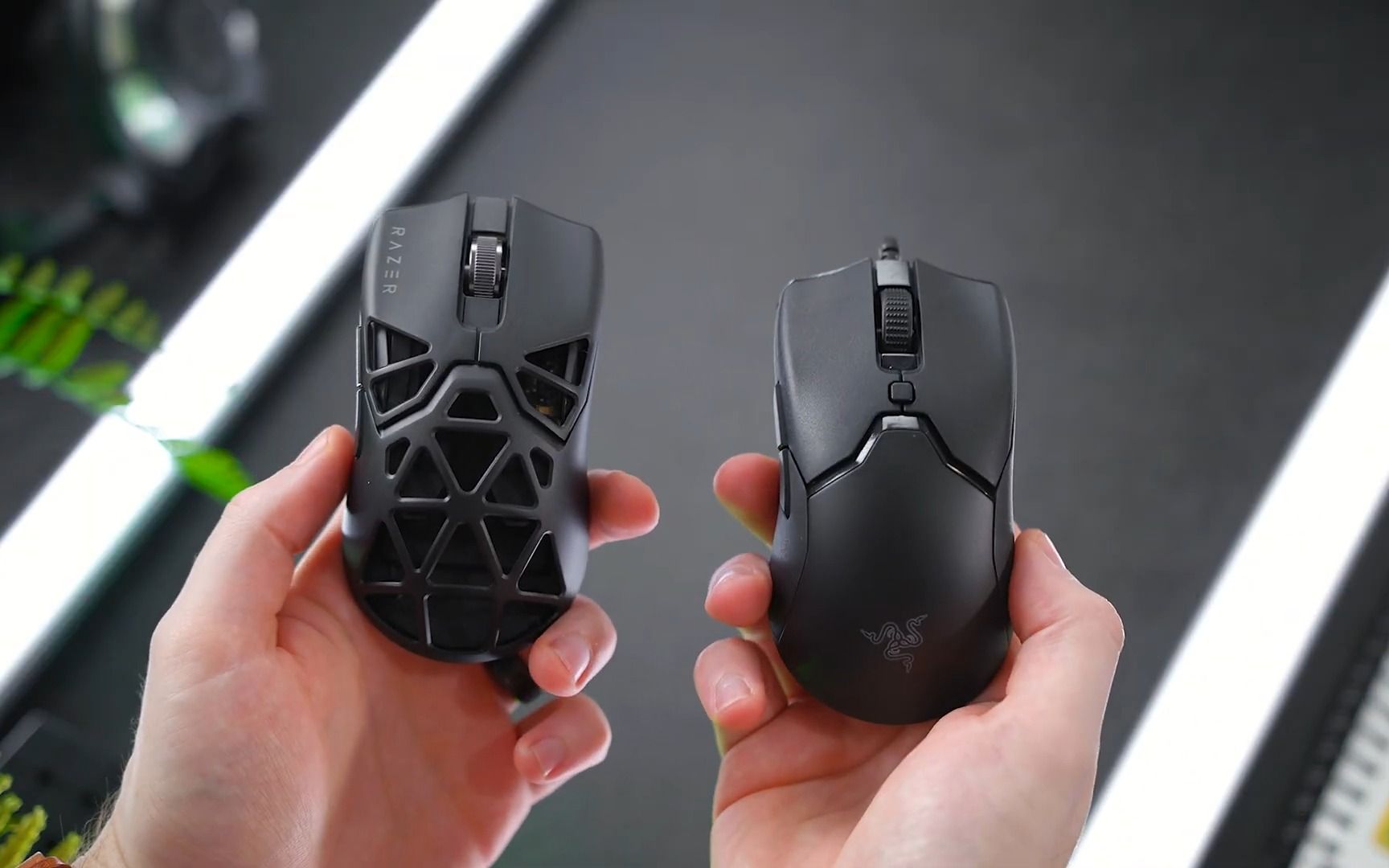 【randomfrankp】razer viper mini signature edition 毒蝰迷你无线