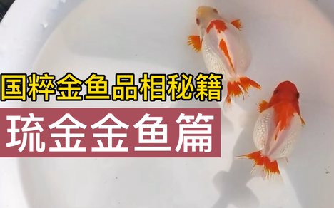 正水少一的个人空间 哔哩哔哩移动版