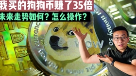 狗狗币如果48小时内到达 1 5月8日会不会到 5 比特币以太币被标普道琼指数收纳 狗狗币也快了 哔哩哔哩