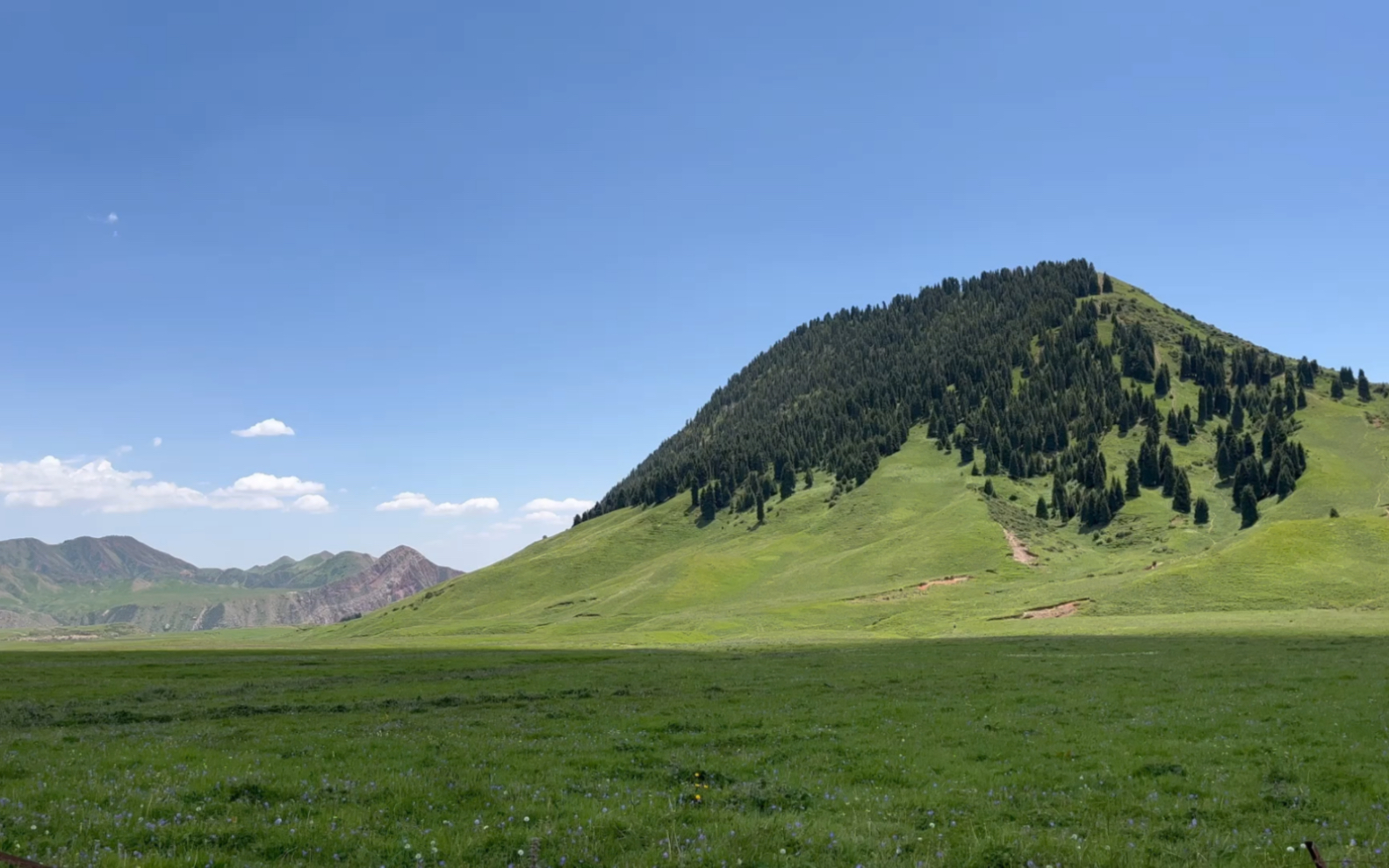 这不是伊犁,这里是天山南坡新疆温宿塔格拉克村