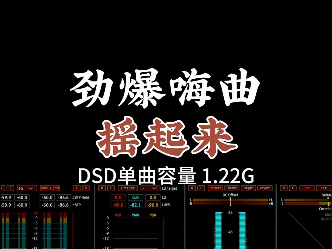 极品劲爆DJ嗨曲,一起来摇摆!DSD完整版1.38G,百万调音师专业录音棚制作,顶级hifi无损音质哔哩哔哩bilibili