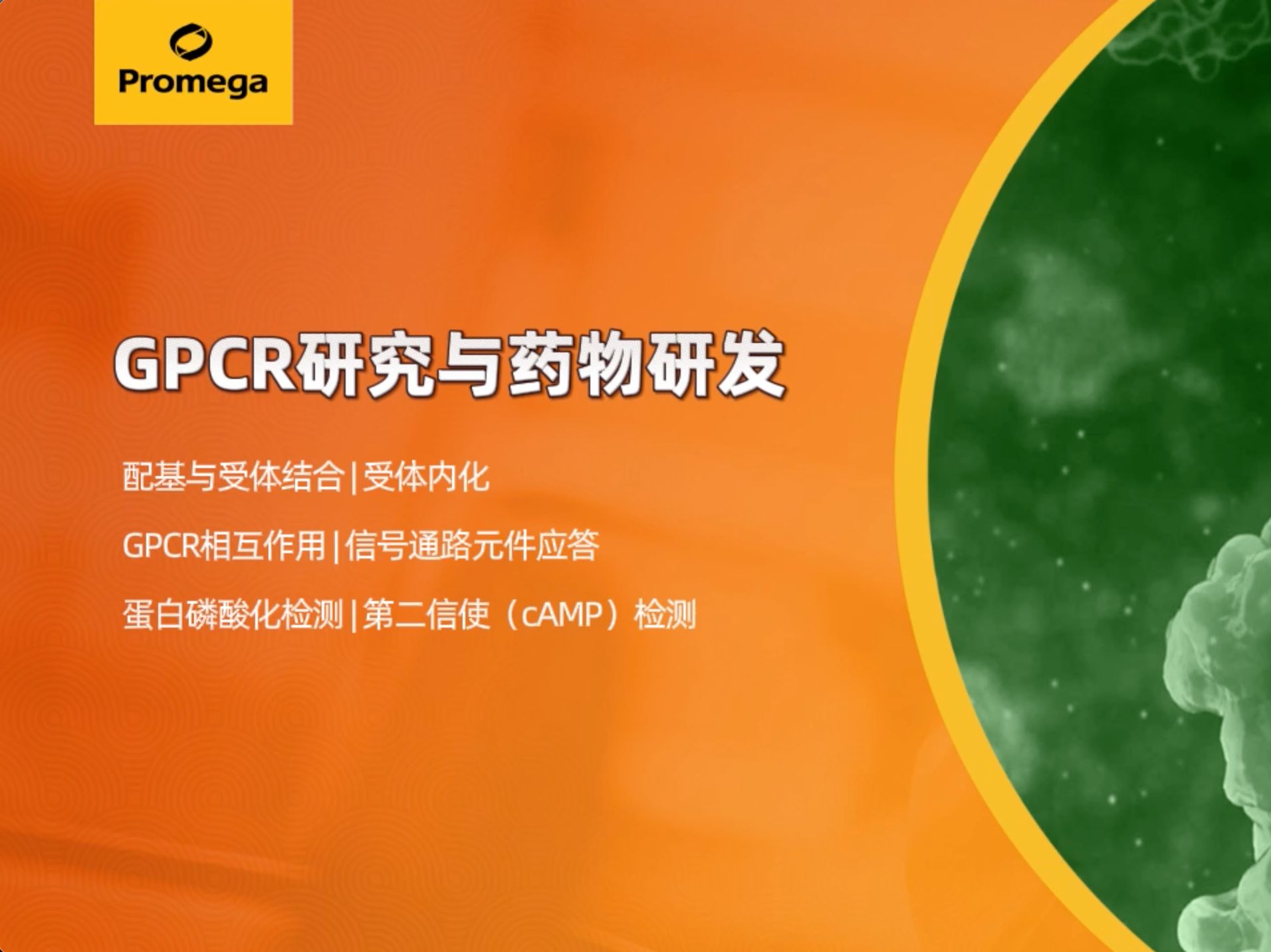 GPCR研究与药物研发检测技术