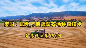 Download Video: 美国加州：万亩蔬菜农场种植技术