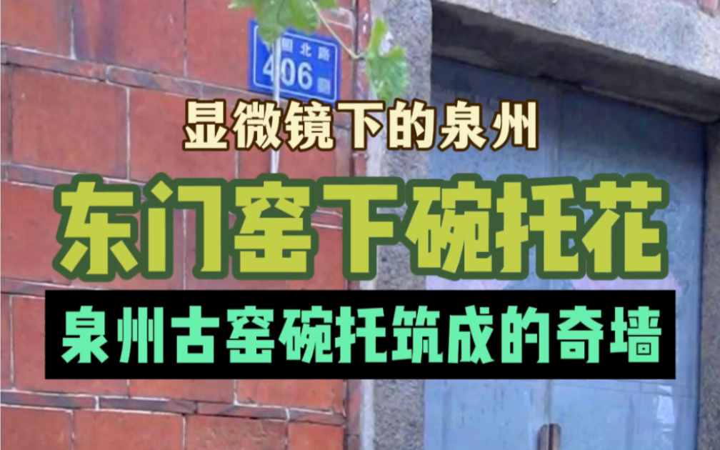 泉州东门窑有一面用宋元时期碗托筑成的奇墙,张和平先生给它取了一个响亮的名字“碗托盛开海丝花”哔哩哔哩bilibili