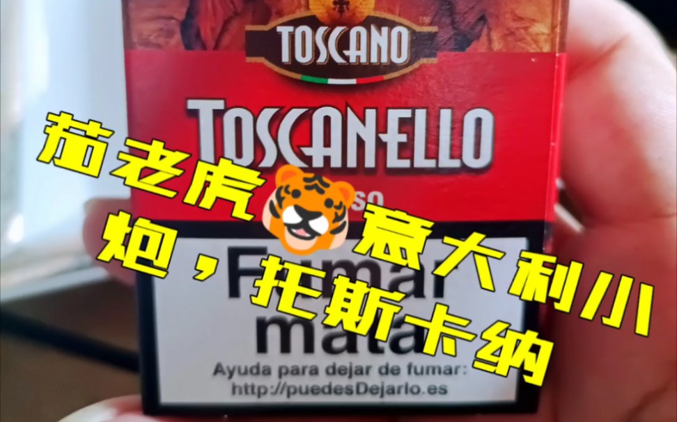 抽只意大利小雪茄