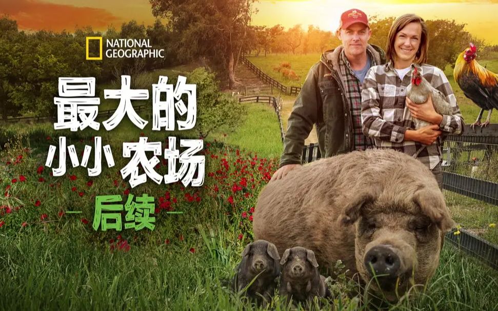 [图]最大的小小农场：回归 The Biggest Little Farm: The Return (2022)