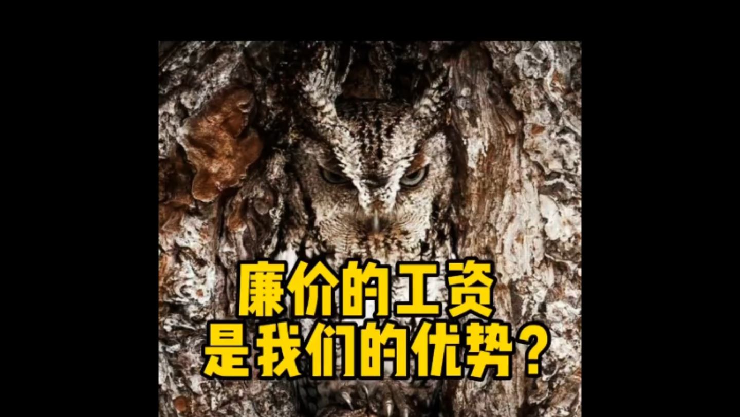 [图]廉价工资是我们的优势？