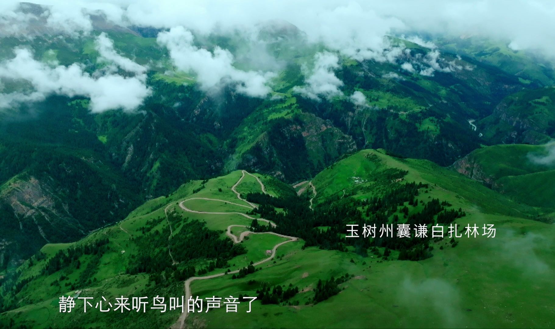 新鲜的空气,蓝蓝的天空,澄澈的歌声,去大美青海赴一场纯净之约哔哩哔哩bilibili