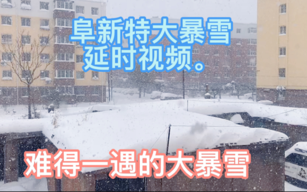 辽宁阜新特大暴雪延时视频,难得一遇的暴风雪哔哩哔哩bilibili