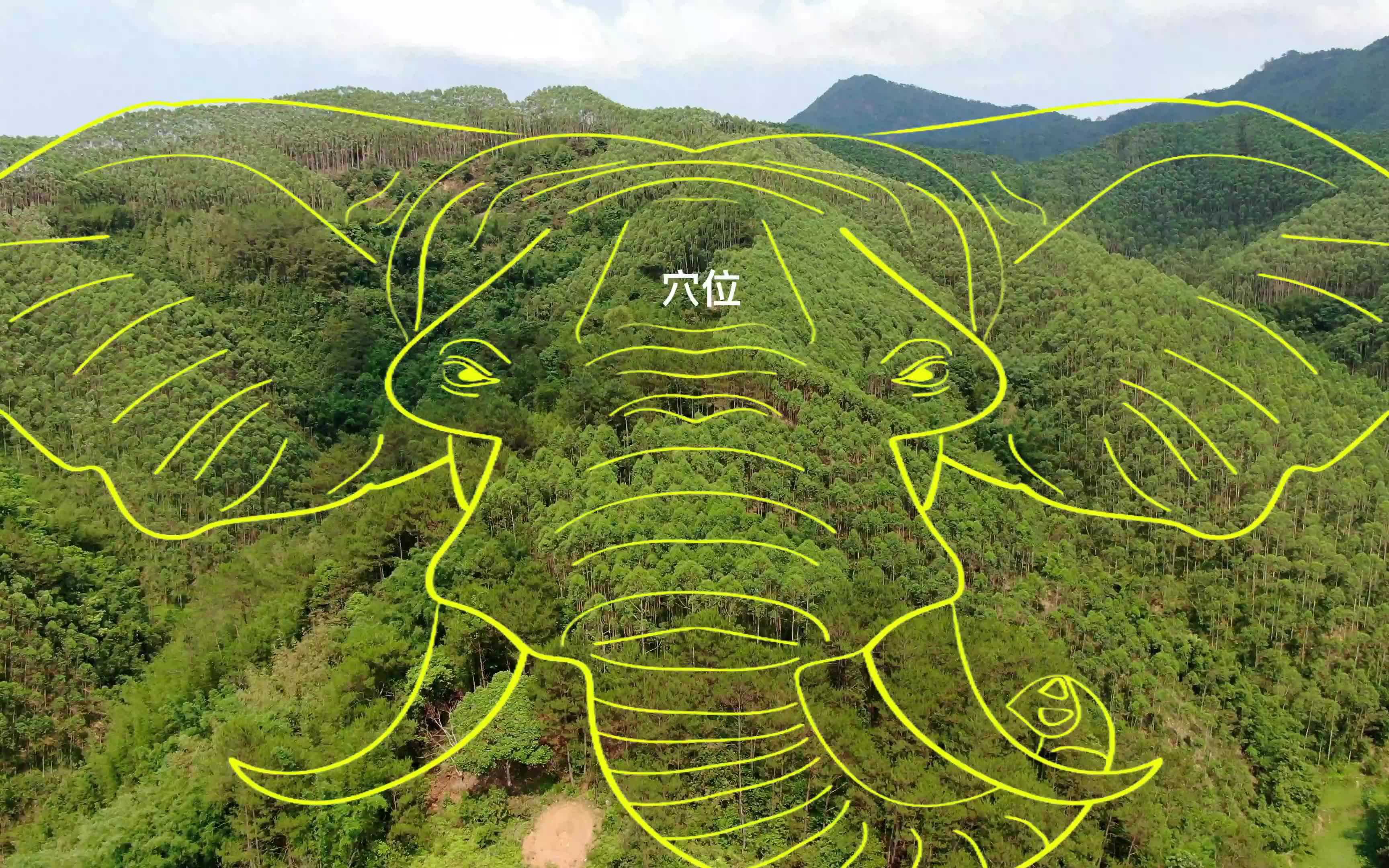 大象地形的富贵地,活灵活现,赵一铭实地航拍