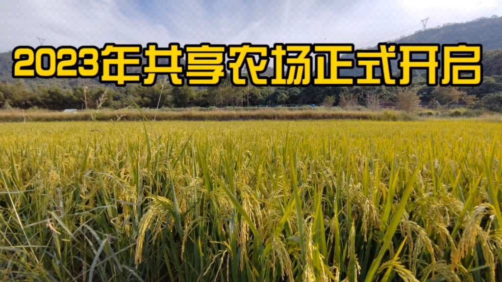 我们正在招募,智农鲜共享农场,这是一个500亩的有机农场,希望你喜欢哔哩哔哩bilibili