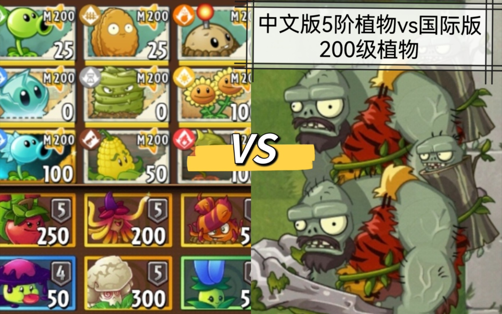 [图]各种中文版5阶植物vs国际版M200级植物