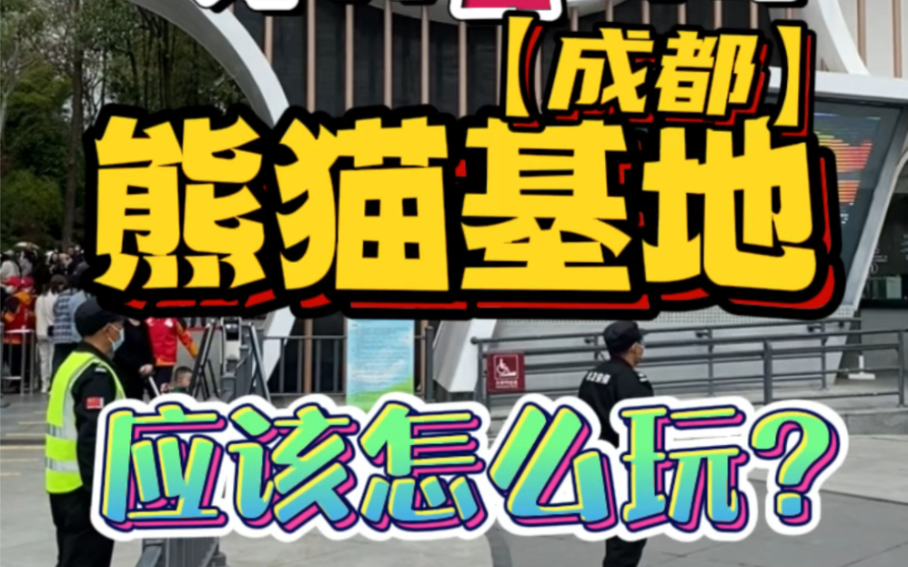 一分钟告诉你!来成都大熊猫基地看网红花花,应该怎么玩?哔哩哔哩bilibili