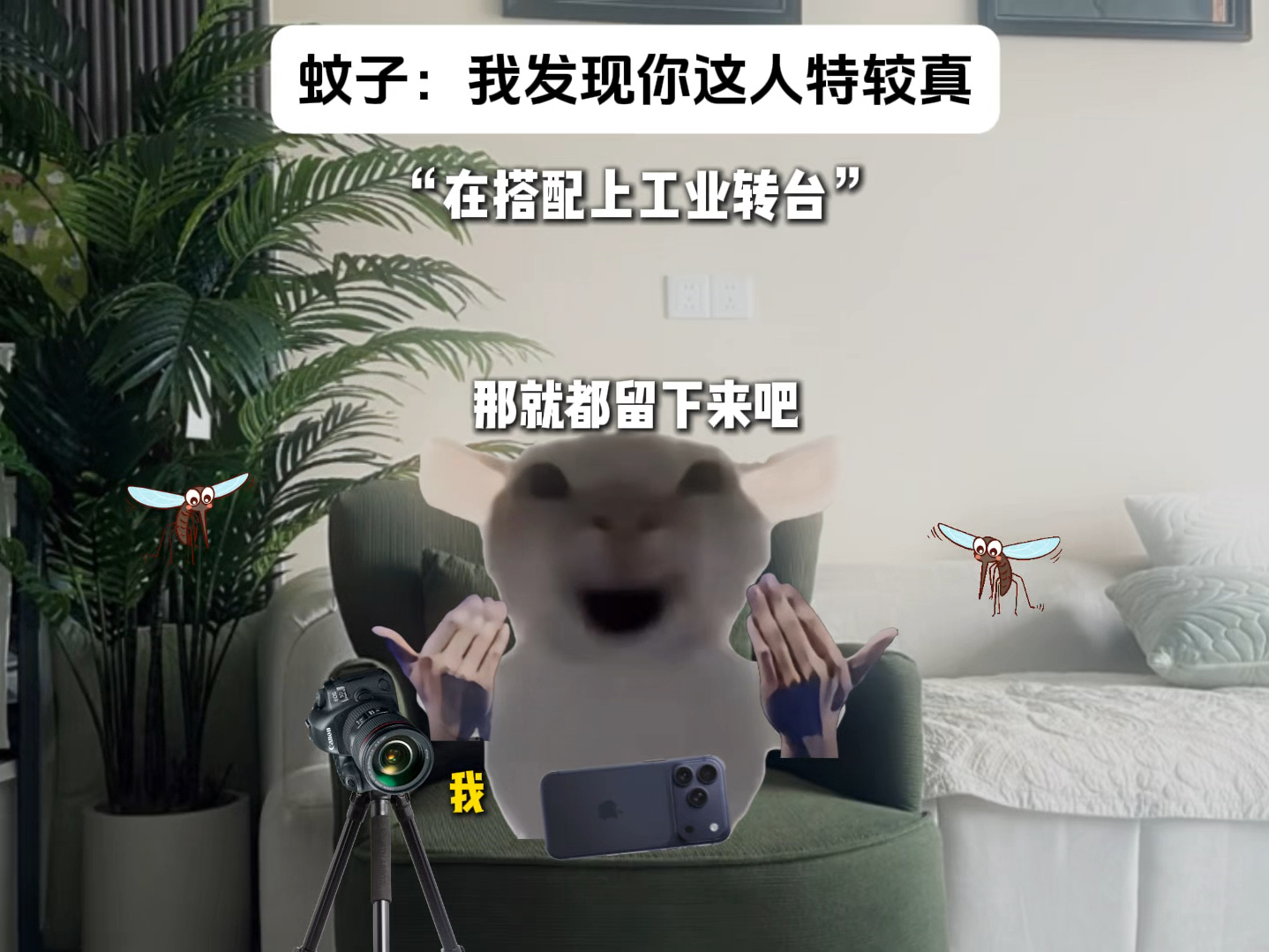 蚊子：我发现你这人特较真