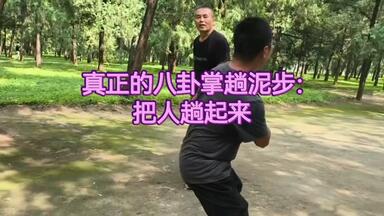 八卦連環掌 八卦遊身掌　王樹金 英文原版Bagua Swimming Body Palms 游身八卦掌指南王树金英文版