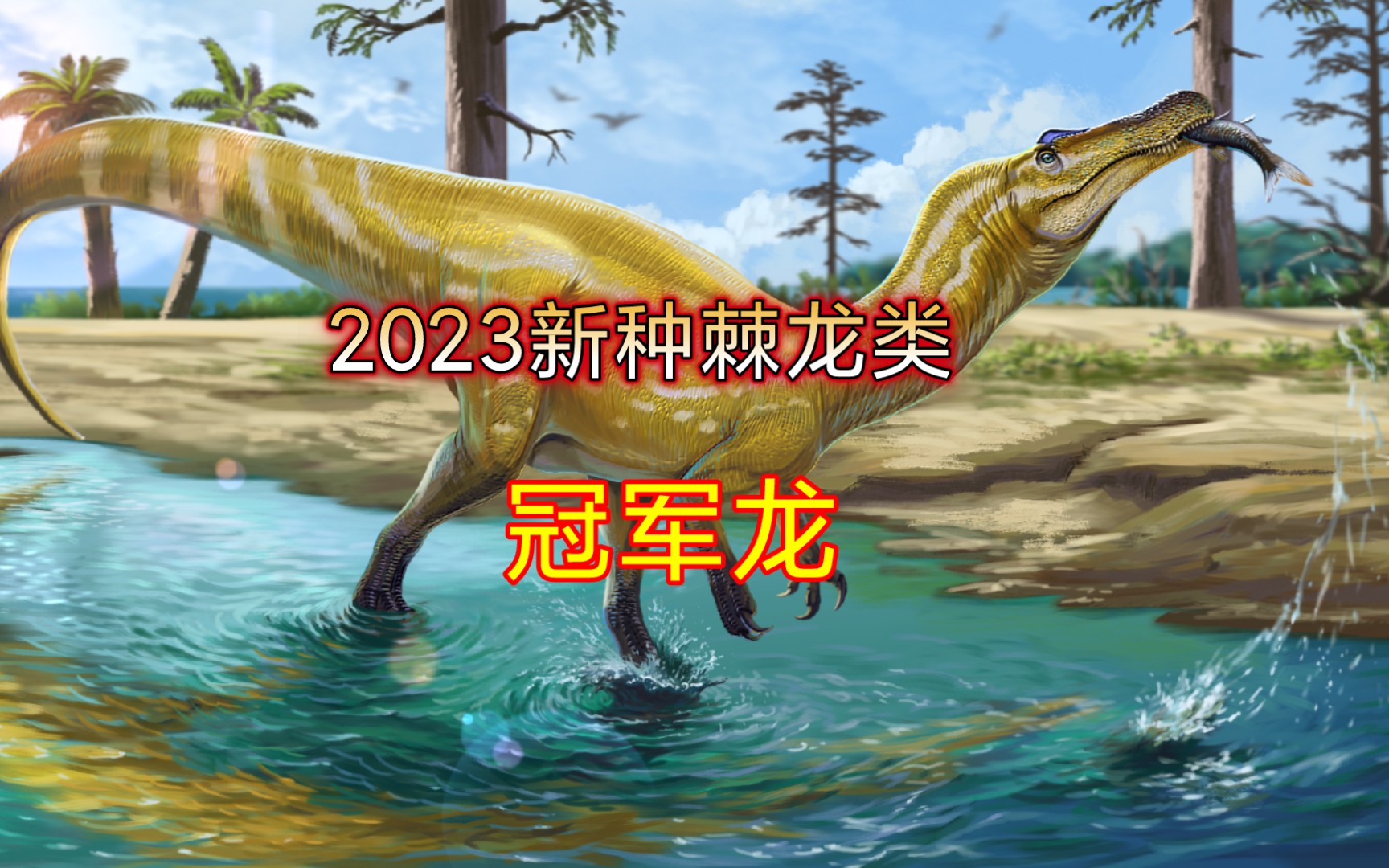 【指绘】2023又出新的棘龙类啦——辛克托雷斯 冠军龙哔哩哔哩bilibili