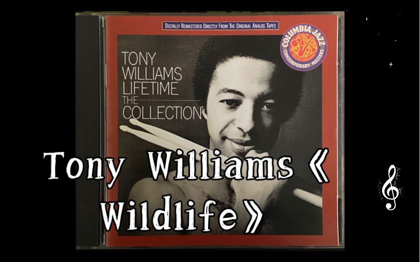 融合爵士乐Tony Williams《Wildlife》(1976)【爵士乐】【爵士鼓手】哔哩哔哩bilibili