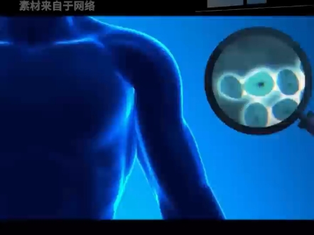 细胞自噬 人类长寿的钥匙哔哩哔哩bilibili