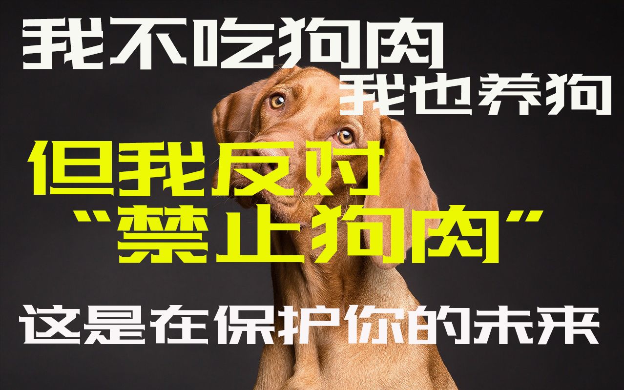 【猫熊】我不吃狗肉,但我捍卫你吃的自由