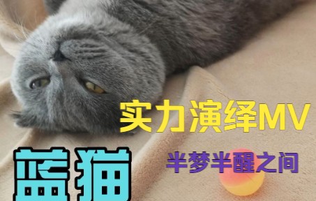 蓝猫实力演绎MV 半梦半醒之间哔哩哔哩bilibili