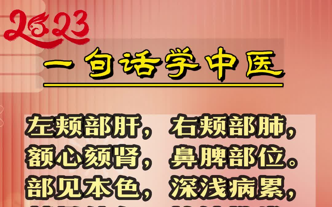 【一句话学中医】 左颊部肝,右颊部肺,额心颏肾,鼻脾部位| 中医名言哔哩哔哩bilibili