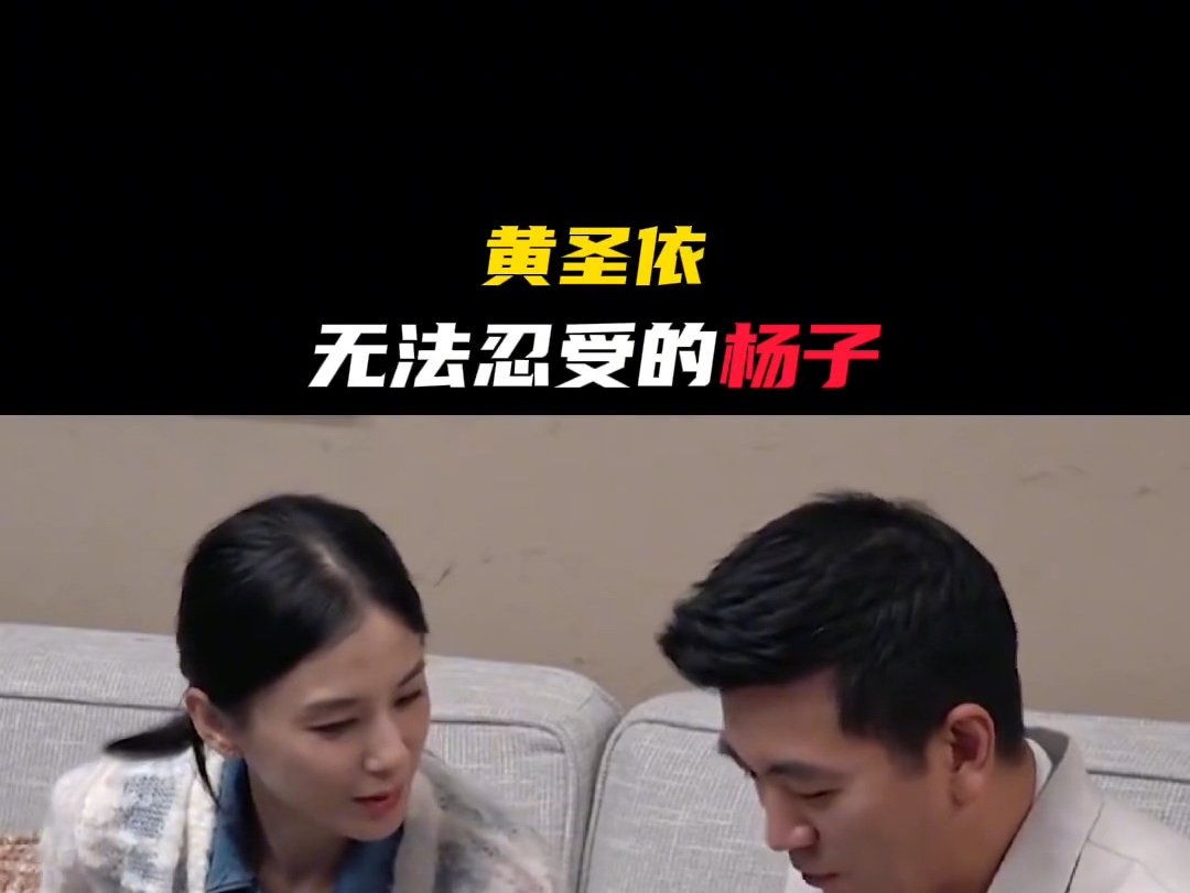 杨子黄圣依为何离婚. #杨子 #黄圣依杨子 #明星哔哩哔哩bilibili