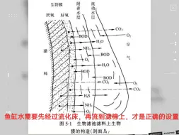 Video herunterladen: 流化床过滤的正确设置方式！