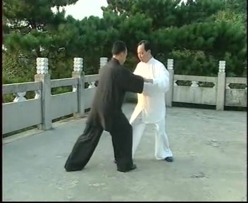 [图]【太极拳教学】陈式太极拳32擒拿[张志俊]