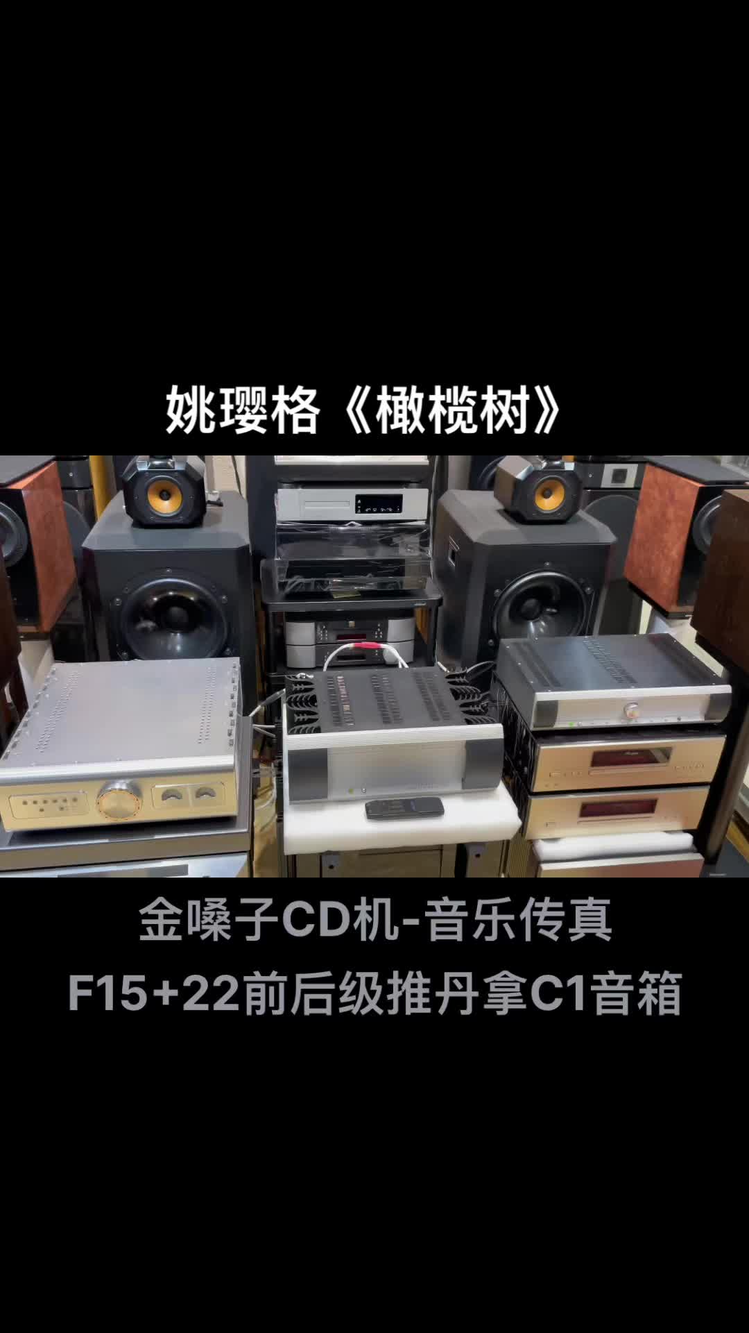 [图]发烧hifi低调华丽直达灵魂深处的暖声女中音姚璎格橄榄树音乐